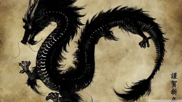 Black Chinese Dragon Illustration