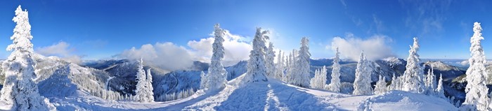 Snow-covered trees on a mountain range under a blue sky
