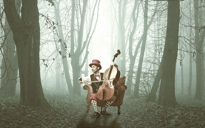 Man playing cello in a foggy forest