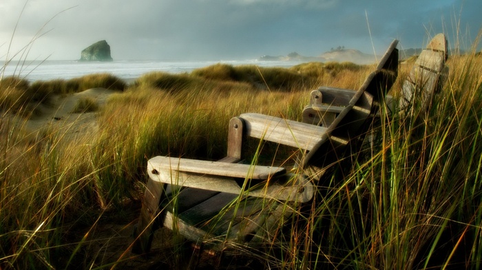 Wooden bench on a grassy dune overlooking the ocean