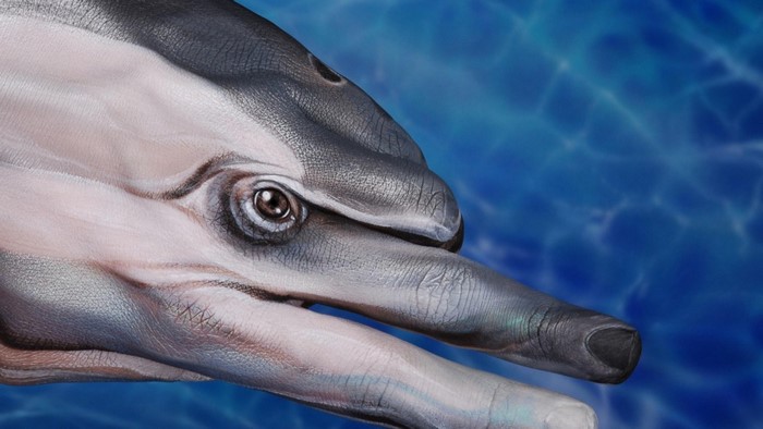 Dolphin body paint on hand with water background