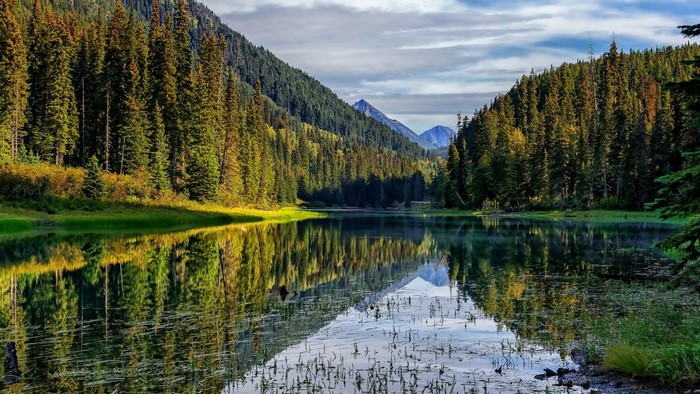 Serene Mountain Lake Surrounded by Forest