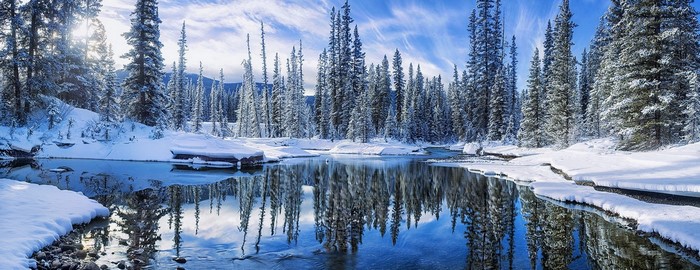Snowy forest with a river reflecting trees under a blue sky