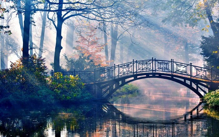 Bridge over a misty river in a forest during autumn