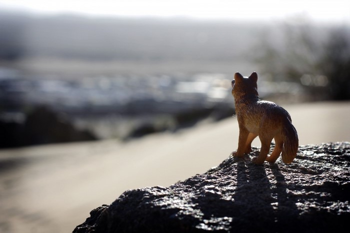 Toy fox on a rock overlooking a misty landscape