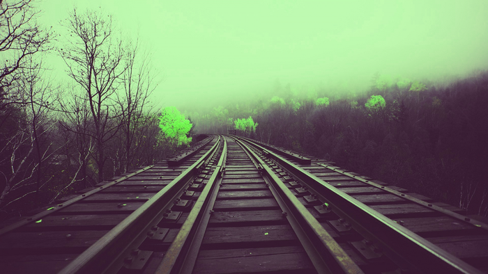 Train tracks through a foggy forest