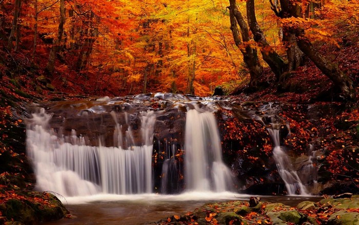 Waterfall in an autumn forest with colorful leaves