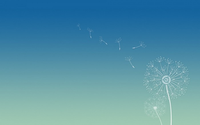 Dandelion seeds blowing in the wind against a gradient sky