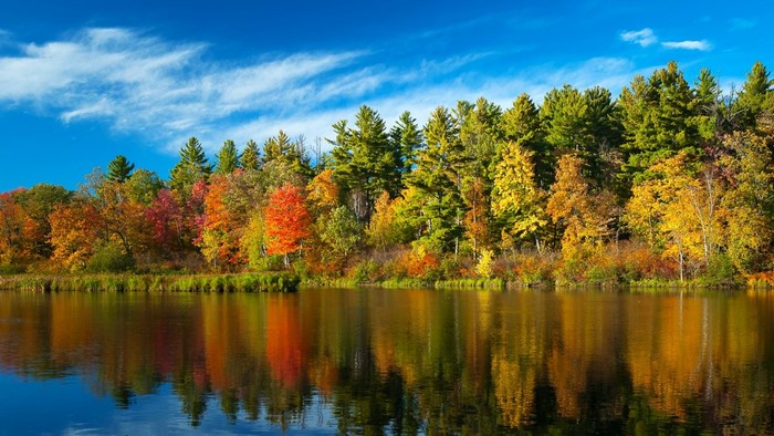 Autumn trees reflecting in a calm lake under a blue sky