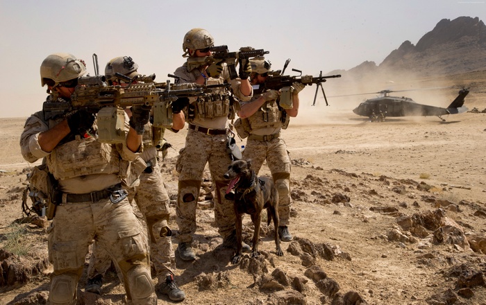 Soldiers and dog with helicopter in desert