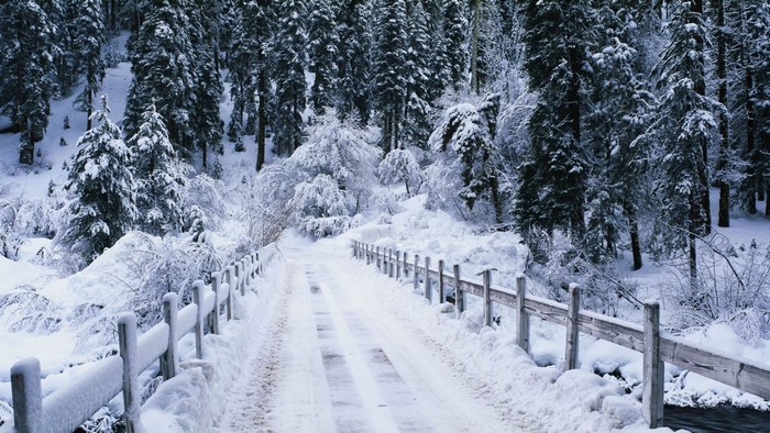 Snowy forest road over a bridge in winter