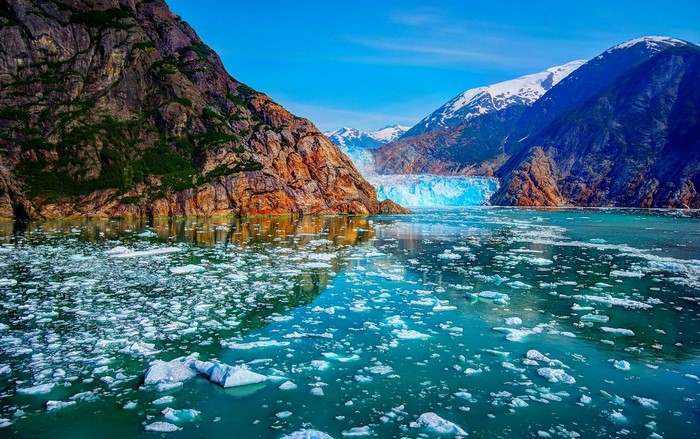 Glacier and icebergs in a Norwegian fjord