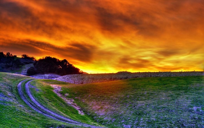 Sunset over rolling green hills with a dirt path