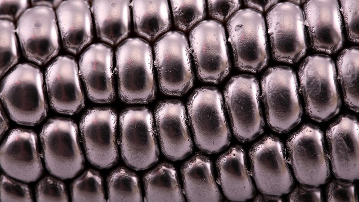 Close-up of metallic corn kernels