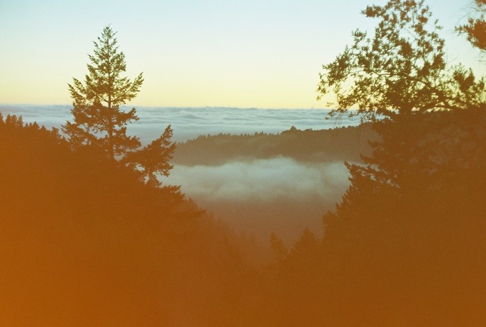 Trees and fog over hills at sunrise