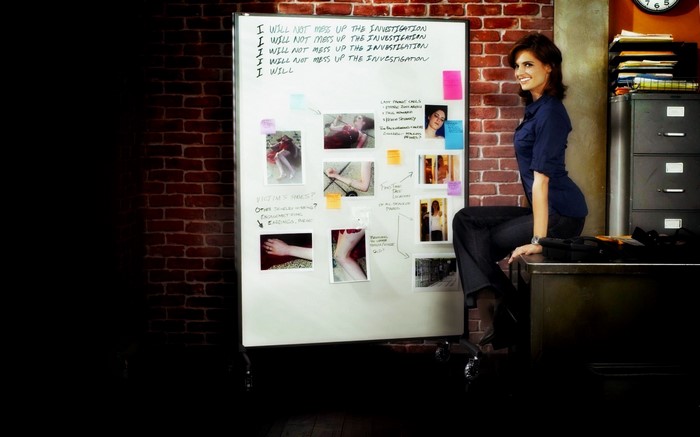 Stana Katic in Castle TV Series