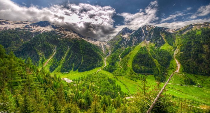 Lush Green Valley and Mountain Range in Switzerland