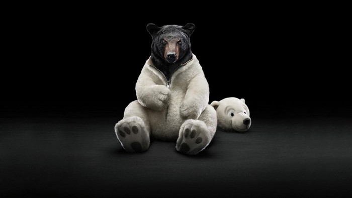 Bear wearing a coat with a teddy bear head