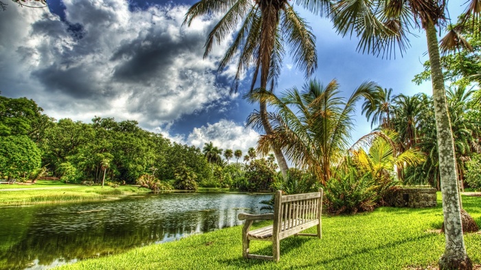 Park bench by a lake with palm trees