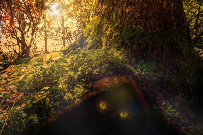 Mysterious glowing eyes peer from a dark hollow in a moss-covered tree