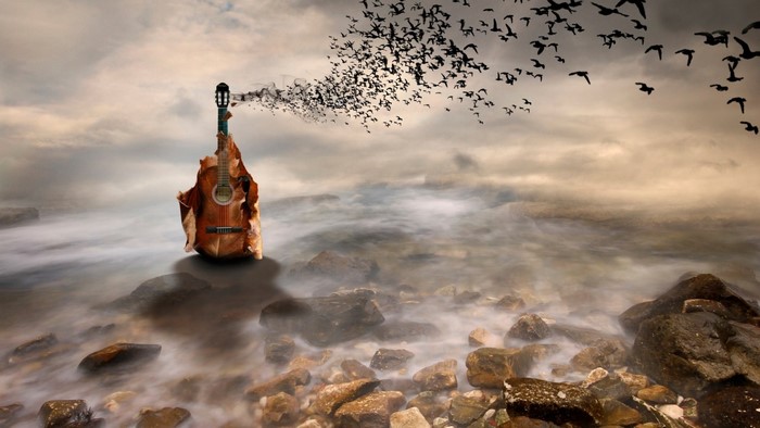 Guitar with birds flying out of it over the sea