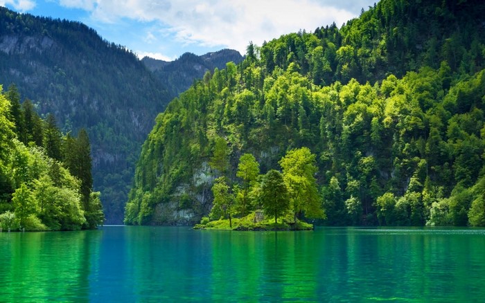 Serene Lake and Lush Forest in the German Alps