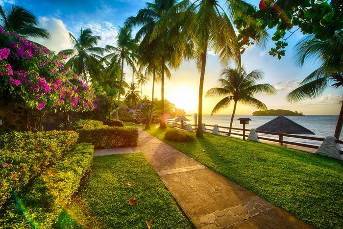 Tropical resort garden with palm trees and ocean at sunset