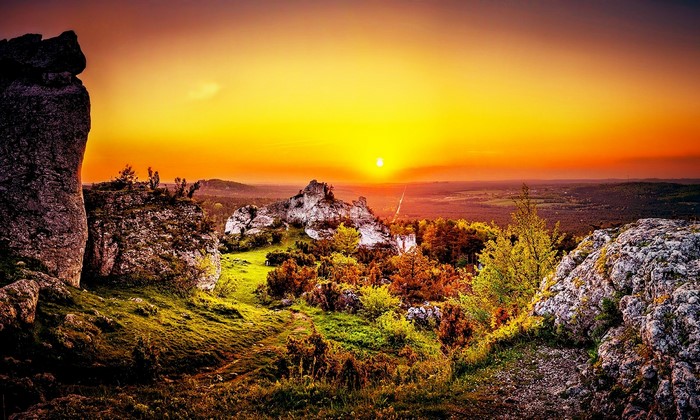 Rocky landscape with trees during sunset