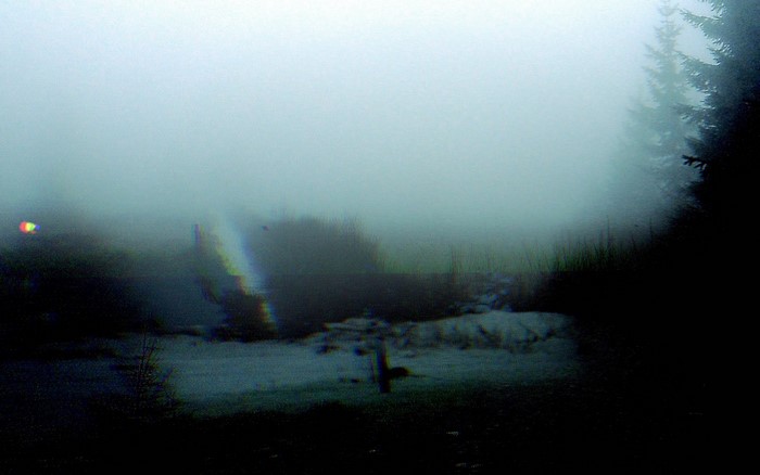 Misty forest with light refraction