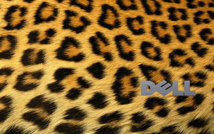 Dell logo on leopard print pattern
