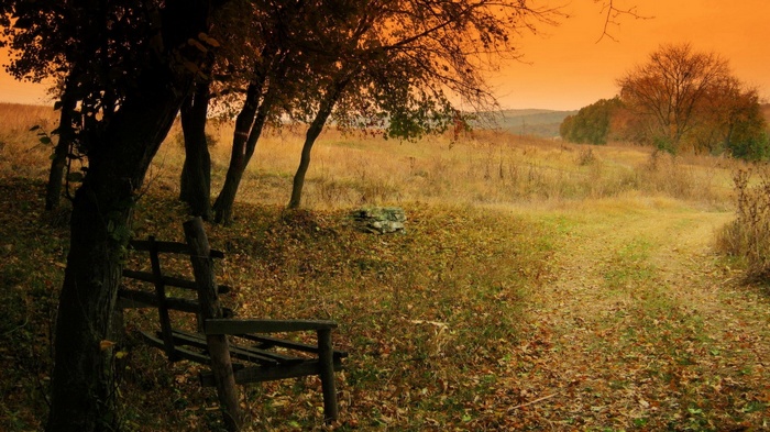 Autumn landscape with a wooden bench and trees