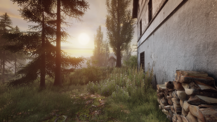 Rural landscape with trees and a building at sunrise