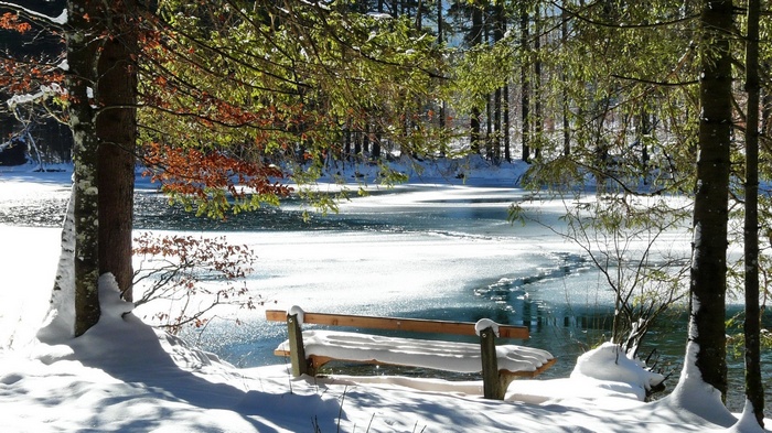 Snowy bench by a partially frozen lake in a forest