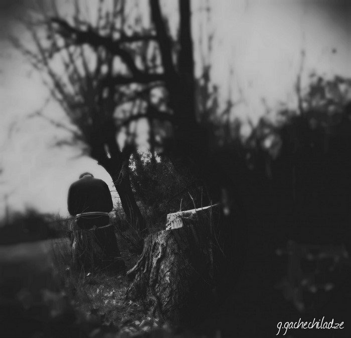 Man sitting on a tree stump in a dark forest