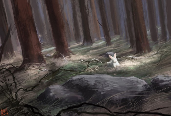 A white rabbit in a sunlit forest clearing