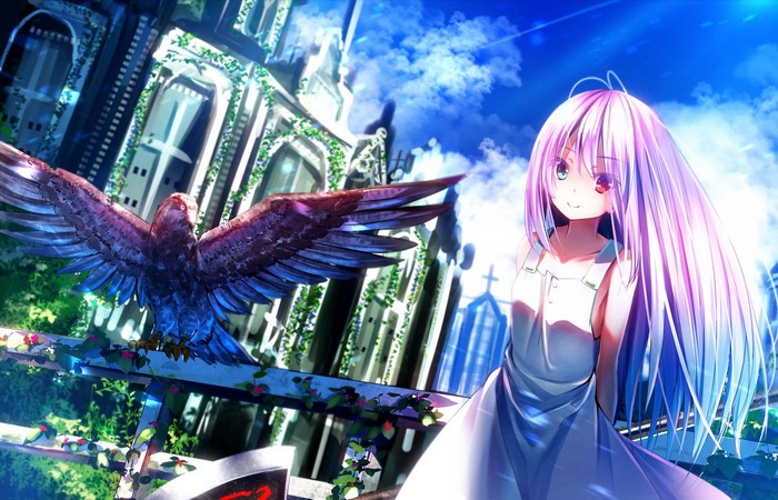 Anime girl with heterochromia and a bird near a church