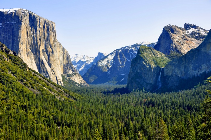 Yosemite National Park with El Capitan and Forest