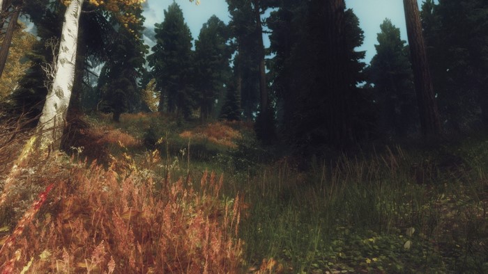 The Elder Scrolls V Skyrim forest landscape with autumn foliage