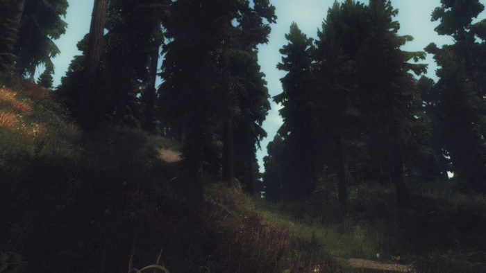 The Elder Scrolls V Skyrim forest landscape
