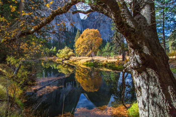 Autumn trees reflecting in Yosemite National Park lake