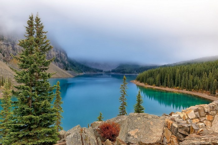 Misty Lake and Forest in Banff National Park, Canada