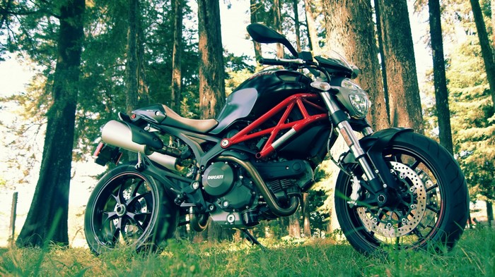 Ducati Monster motorcycle parked in a forest