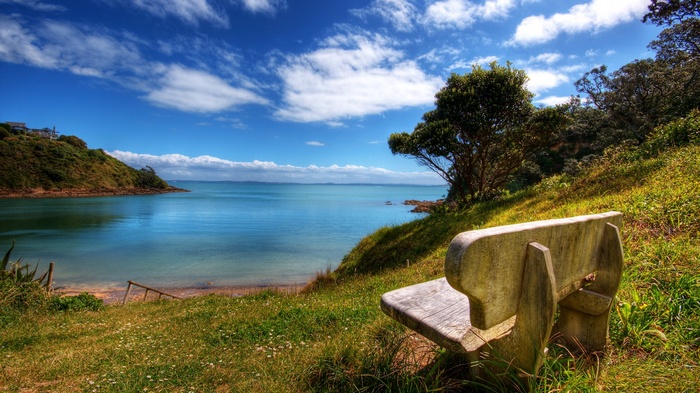 Bench overlooking a bay with a hill and trees