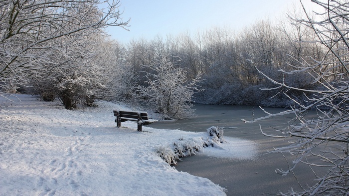 Snowy park with a frozen pond and a bench