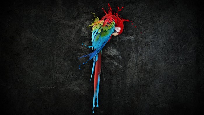 Colorful parrot with paint splashes on dark background