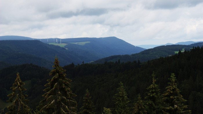 Wind turbines on a distant hill overlooking a forested mountain range