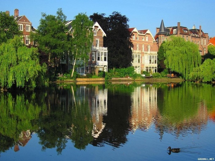 Houses and trees reflected in a lake with a duck