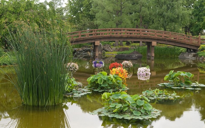 Japanese garden with a pond and a wooden bridge