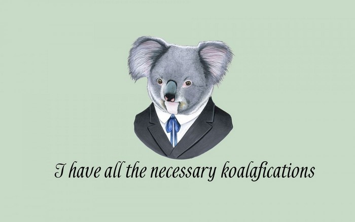 Koala in a suit with the quote "I have all the necessary koalafications"