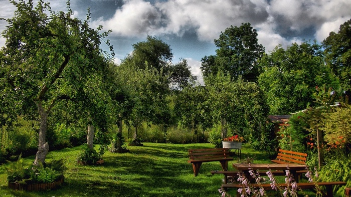 A garden with trees, benches, and a picnic table